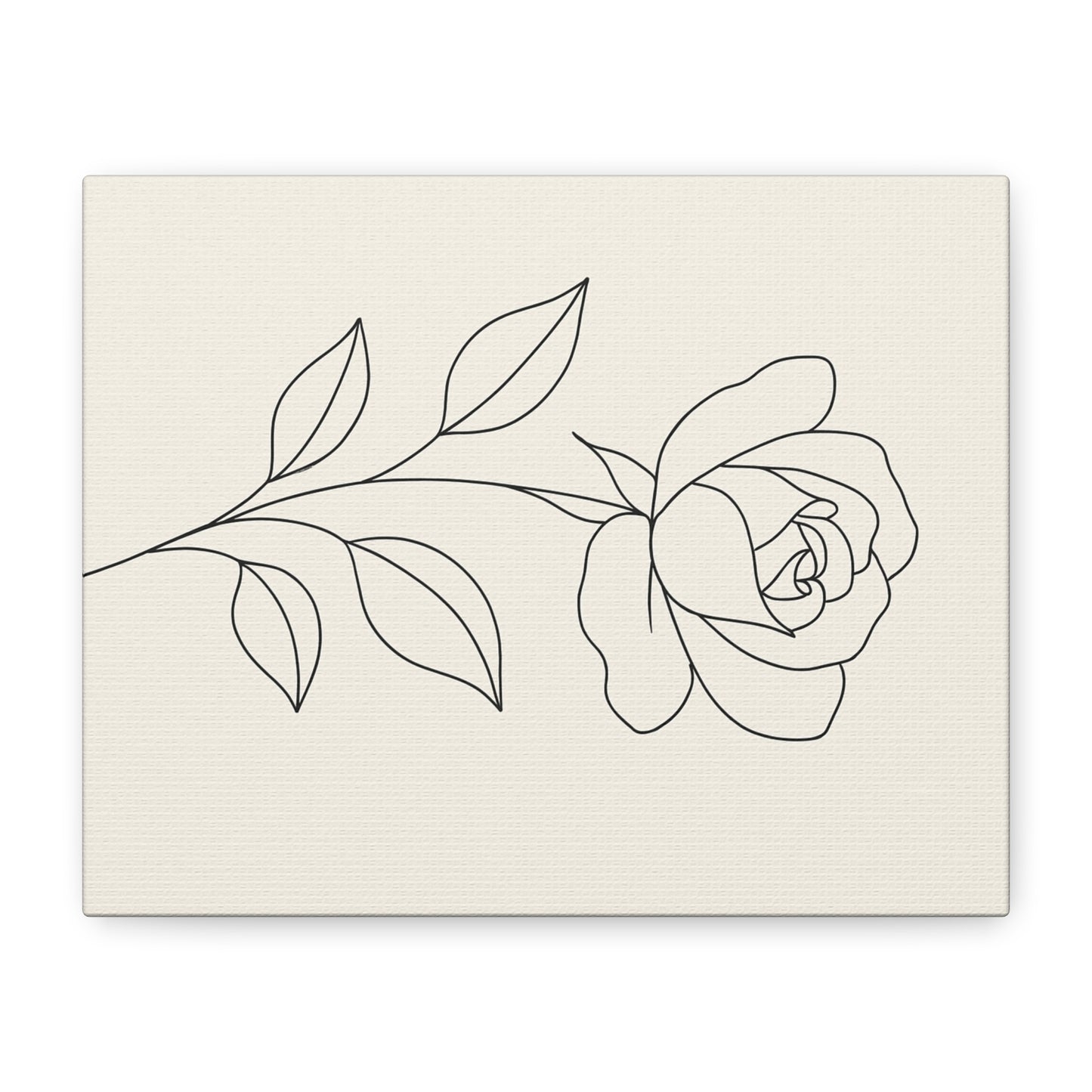 Canvas Print - Elegant Rose